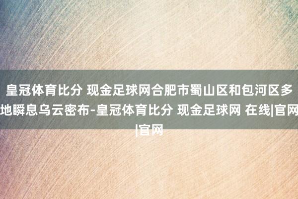 皇冠体育比分 现金足球网合肥市蜀山区和包河区多地瞬息乌云密布-皇冠体育比分 现金足球网 在线|官网