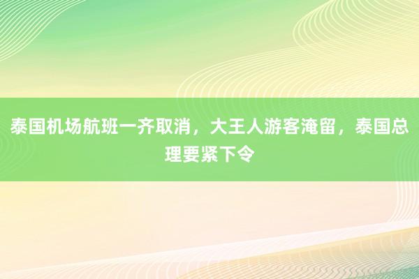 泰国机场航班一齐取消，大王人游客淹留，泰国总理要紧下令