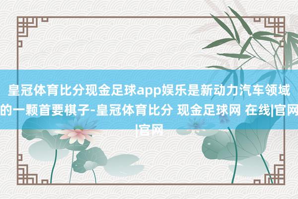 皇冠体育比分现金足球app娱乐是新动力汽车领域的一颗首要棋子-皇冠体育比分 现金足球网 在线|官网