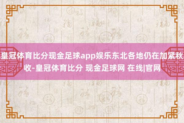 皇冠体育比分现金足球app娱乐东北各地仍在加紧秋收-皇冠体育比分 现金足球网 在线|官网