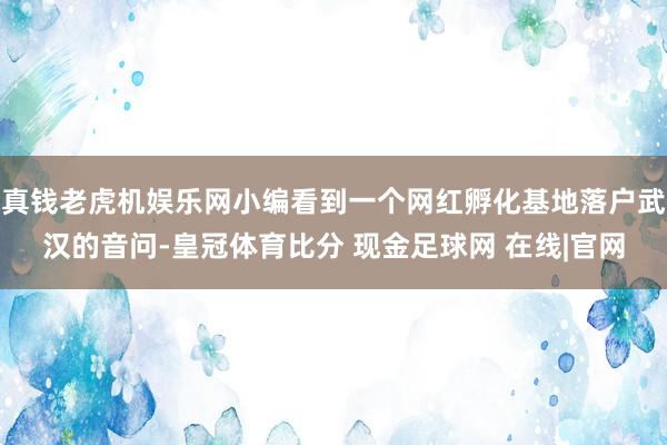 真钱老虎机娱乐网小编看到一个网红孵化基地落户武汉的音问-皇冠体育比分 现金足球网 在线|官网