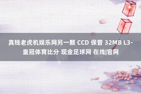 真钱老虎机娱乐网另一颗 CCD 保管 32MB L3-皇冠体育比分 现金足球网 在线|官网