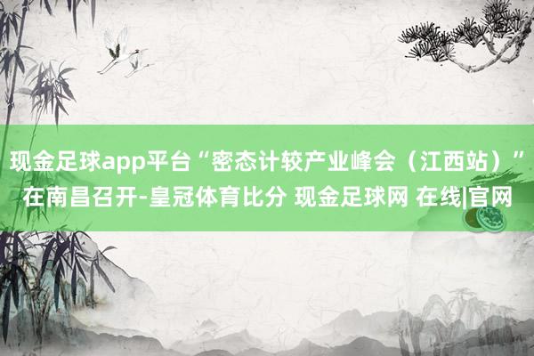 现金足球app平台“密态计较产业峰会（江西站）”在南昌召开-皇冠体育比分 现金足球网 在线|官网