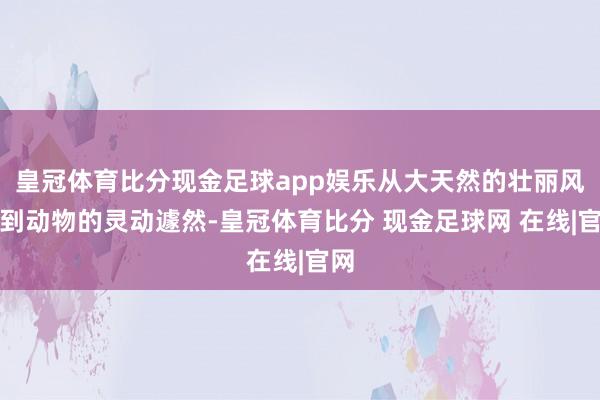 皇冠体育比分现金足球app娱乐从大天然的壮丽风景到动物的灵动遽然-皇冠体育比分 现金足球网 在线|官网