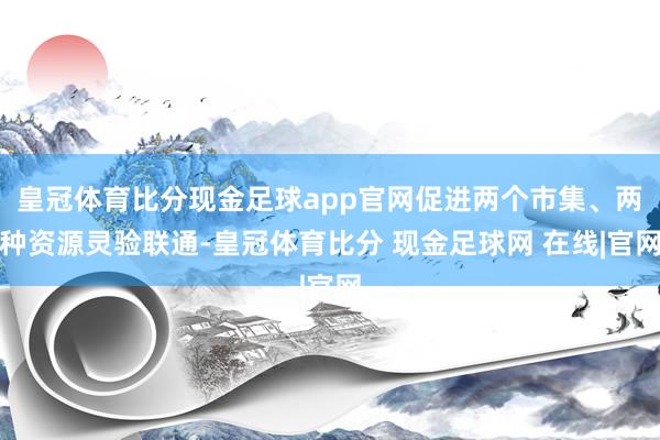 皇冠体育比分现金足球app官网促进两个市集、两种资源灵验联通-皇冠体育比分 现金足球网 在线|官网